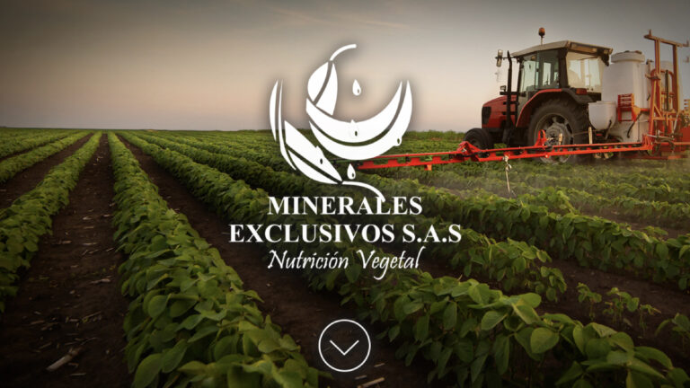 Minerales Exclusivos